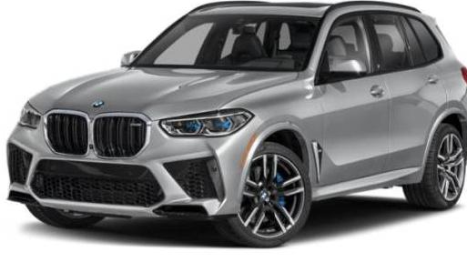 BMW X5 2023 5YMJU0C04P9R55935 image