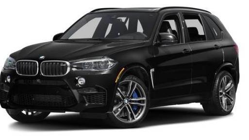 BMW X5 2016 5YMKT6C53G0R77676 image