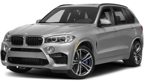 BMW X5 2018 5YMKT6C5XJ0Y83544 image