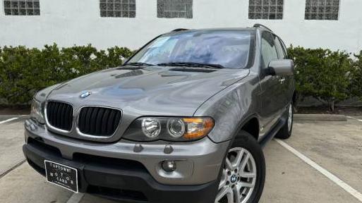 BMW X5 2006 5UXFA13536LY27968 image