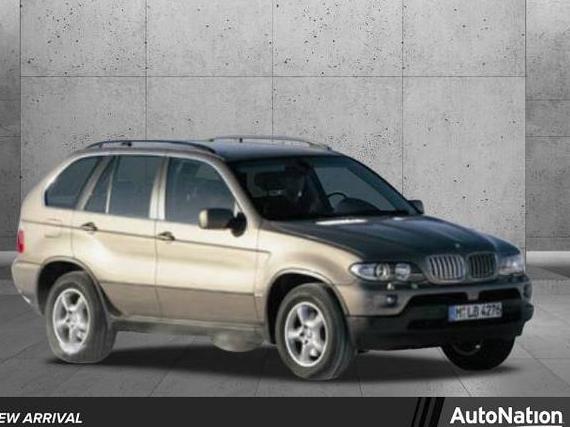 BMW X5 2006 5UXFA13556LY42956 image