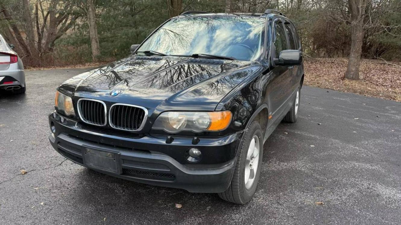 BMW X5 2003 5UXFA535X3LV86784 image