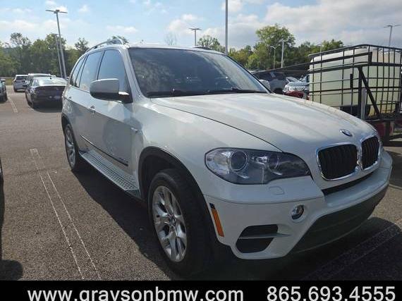 BMW X5 2013 5UXZV4C55D0B00304 image