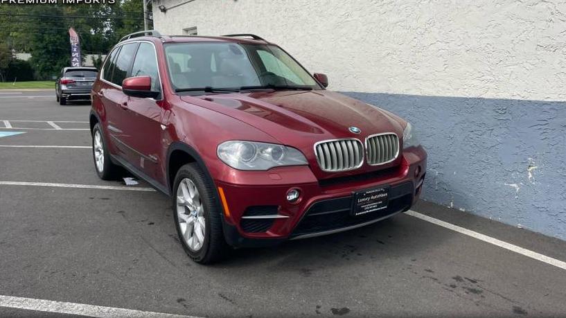 BMW X5 2013 5UXZV4C5XDL993100 image