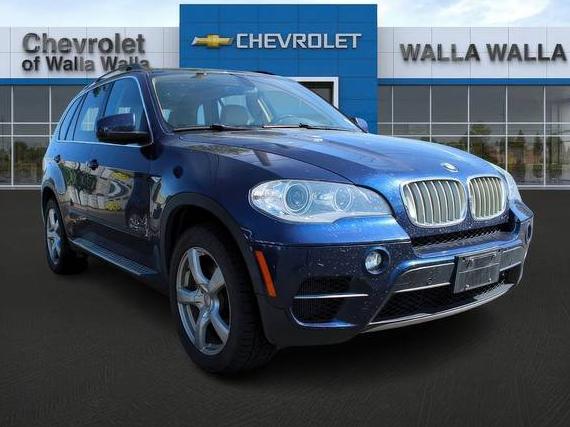BMW X5 2013 5UXZV8C5XDL899001 image