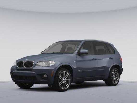 BMW X5 2013 5UXZV4C59D0G52050 image