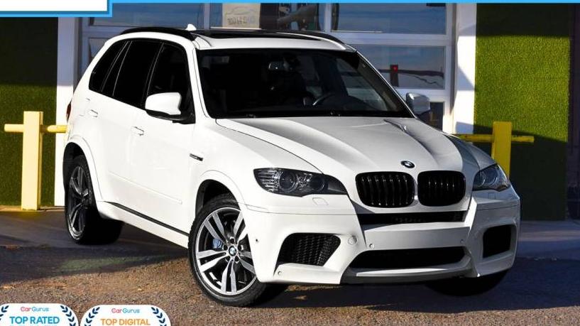 BMW X5 2013 5YMGY0C58D0C12062 image