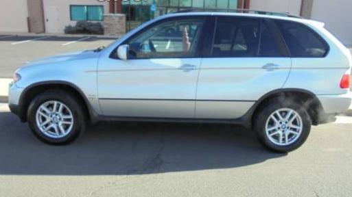 BMW X5 2005 5UXFA13515LU46702 image