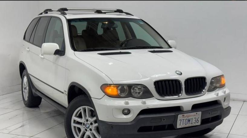 BMW X5 2005 5UXFA13505LY21804 image