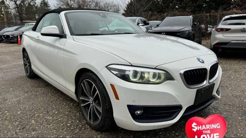 BMW 230I 2019 WBA2K1C59KVD41810 image