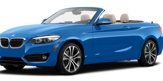 BMW 230I 2019 WBA2K1C5XKVD41881 image BMW 230I 2019 WBA2K1C5XKVD41881 image