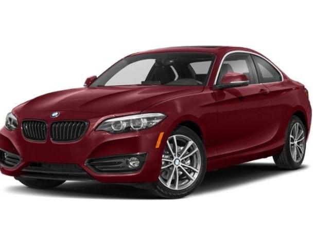 BMW 230I 2019 WBA2J1C51KVD10117 image