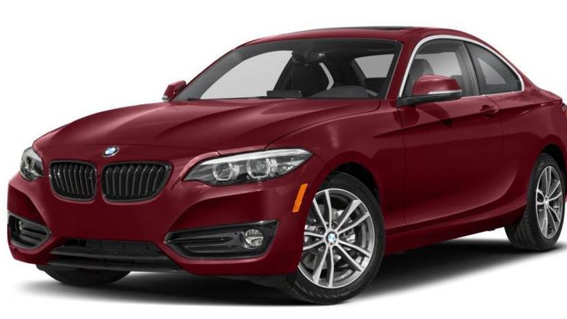 BMW 230I 2019 WBA2J3C51KVD49169 image