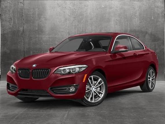 BMW 230I 2019 WBA2J1C58KVD10065 image