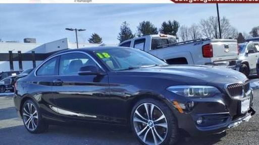 BMW 230I 2018 WBA2J3C59JVD48298 image