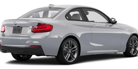BMW 228I 2016 WBA1F9C55GV546639 image