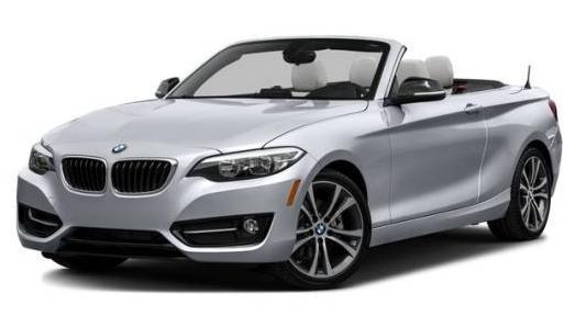 BMW 228I 2016 WBA1L9C55GV324921 image