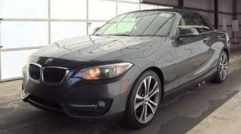 BMW 228I 2016 WBA1K9C52GV710442 image