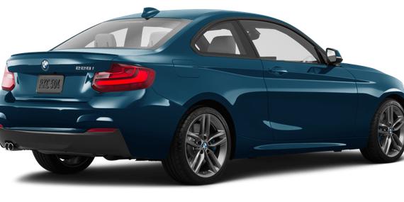 BMW 228I 2016 WBA1G9C52GV726089 image