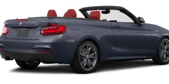 BMW 228I 2016 WBA1L9C51GV767289 image