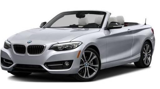 BMW 228I 2016 WBA1K9C52GV710165 image