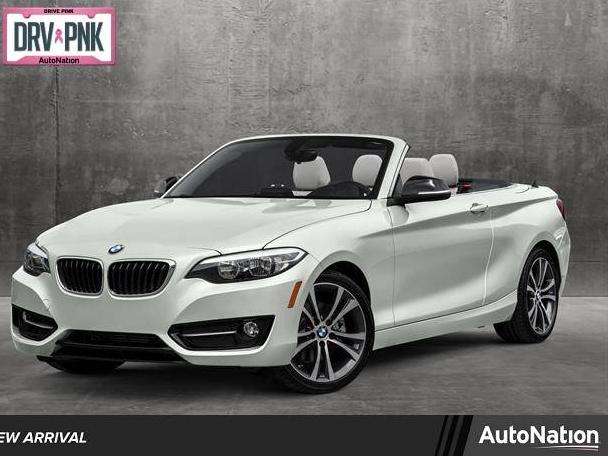 BMW 228I 2016 WBA1K9C59GV322639 image