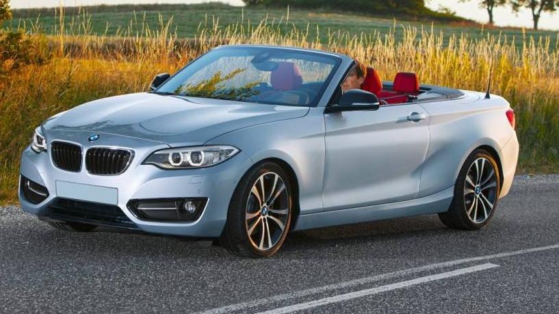 BMW 228I 2016 WBA1K9C54GV322080 image