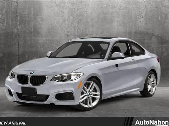 BMW 228I 2014 WBA1F5C51EV255562 image