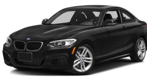 BMW 228I 2015 WBA1F5C54FV343474 image