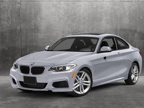 BMW 228I 2015 WBA1F5C57FV256894 image