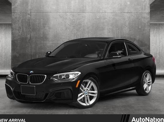 BMW 228I 2015 WBA1F5C56FV257549 image