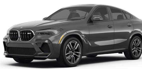 BMW X6 2023 5YMCY0C04P9N71215 image