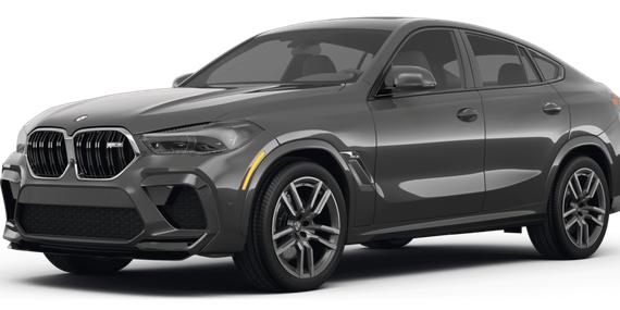BMW X6 2023 5YMCY0C09P9N57262 image