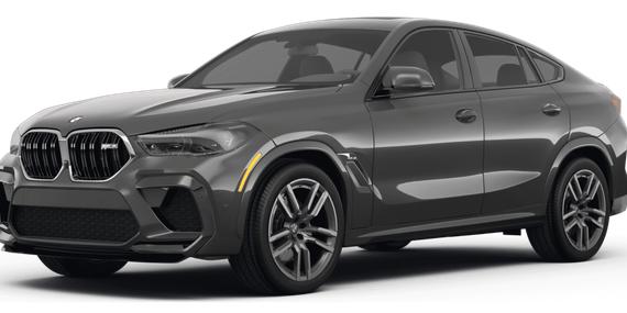 BMW X6 2023 5YMCY0C02P9R93550 image
