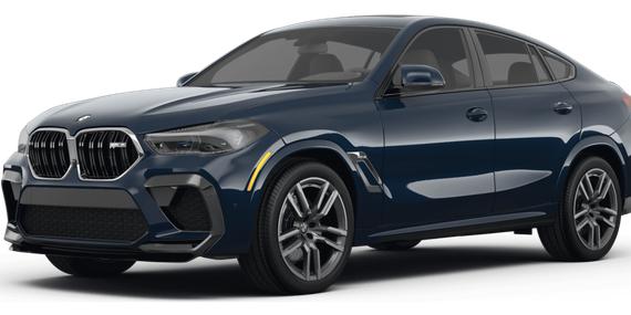 BMW X6 2023 5YMCY0C08P9R79703 image