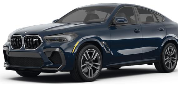 BMW X6 2023 5YMCY0C09P9R74817 image
