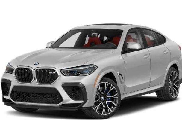 BMW X6 2023 5YMCY0C02P9P33150 image