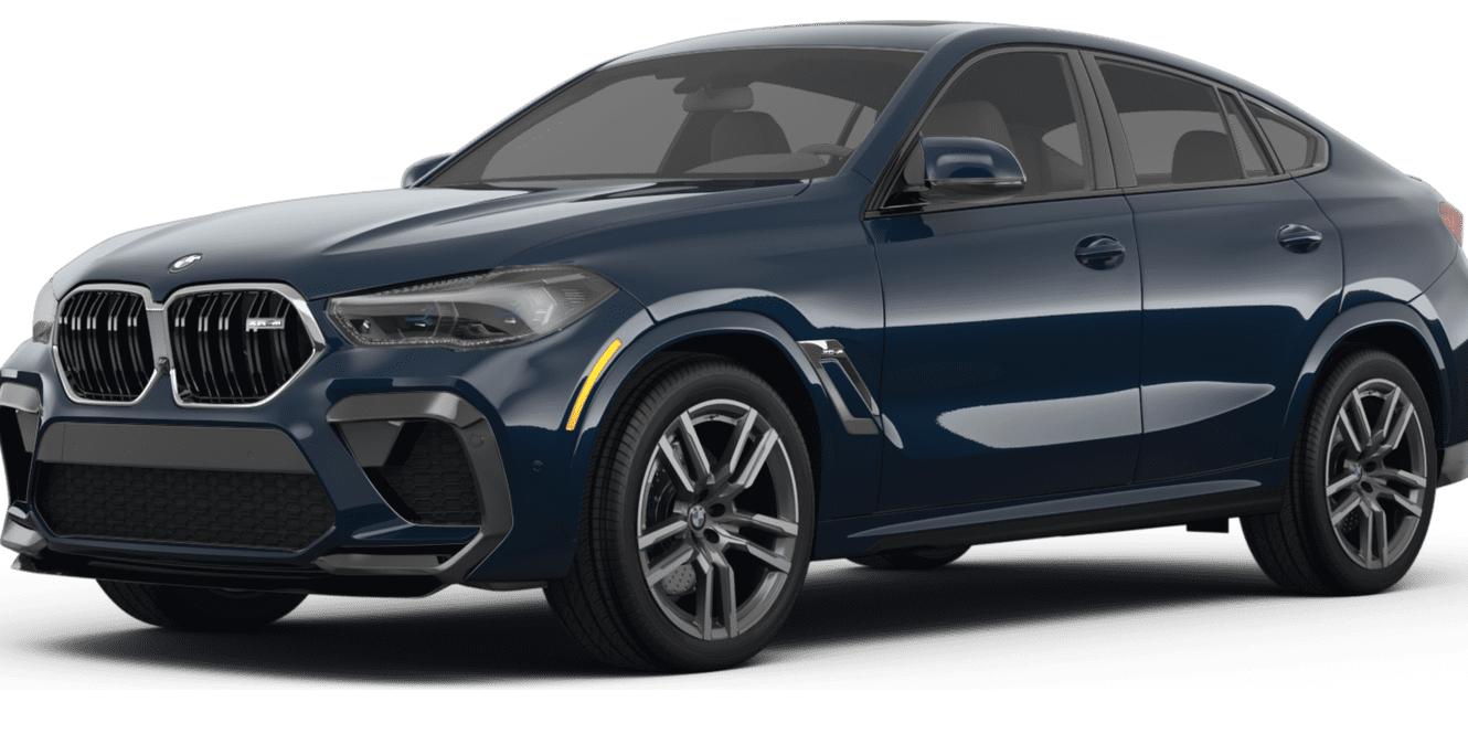 BMW X6 2023 5YMCY0C01P9R84483 image