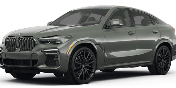 BMW X6 2023 5UXCY6C01P9N62532 image