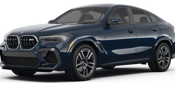 BMW X6 2023 5YMCY0C00P9P71573 image
