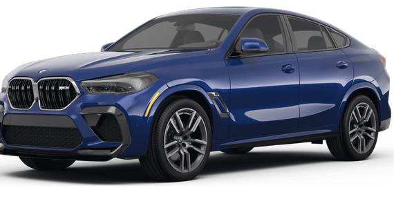 BMW X6 2023 5YMCY0C09P9R50677 image