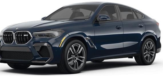 BMW X6 2023 5YMCY0C0XP9P71516 image
