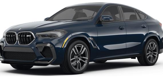 BMW X6 2023 5YMCY0C0XP9R55886 image