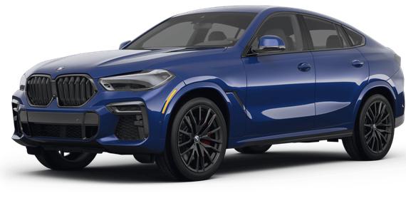 BMW X6 2023 5UXCY8C06P9N74364 image