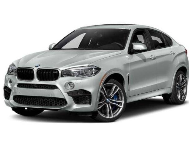 BMW X6 2019 5YMKW8C52KLR38409 image