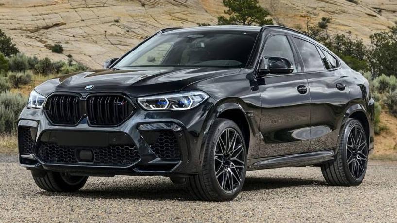 BMW X6 2021 5YMCY0C09M9E79743 image