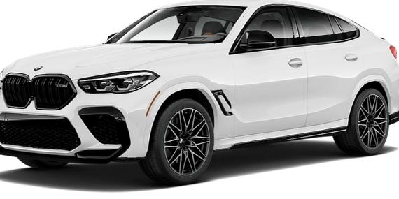 BMW X6 2020 5YMCY0C04L9C68755 image BMW X6 2020 5YMCY0C04L9C68755 image