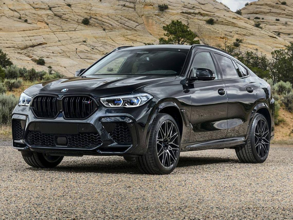 BMW X6 2020 5YMCY0C0XL9B02482 image