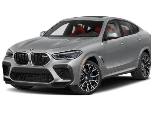 BMW X6 2020 5YMCY0C06L9C97724 image