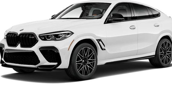 BMW X6 2020 5YMCY0C03L9C61134 image